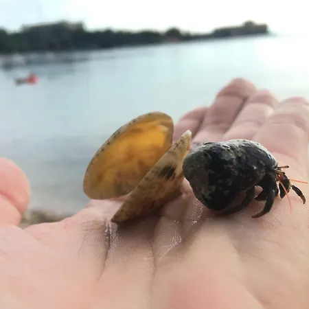 Seamans Διαμέρισμα Kraljevica