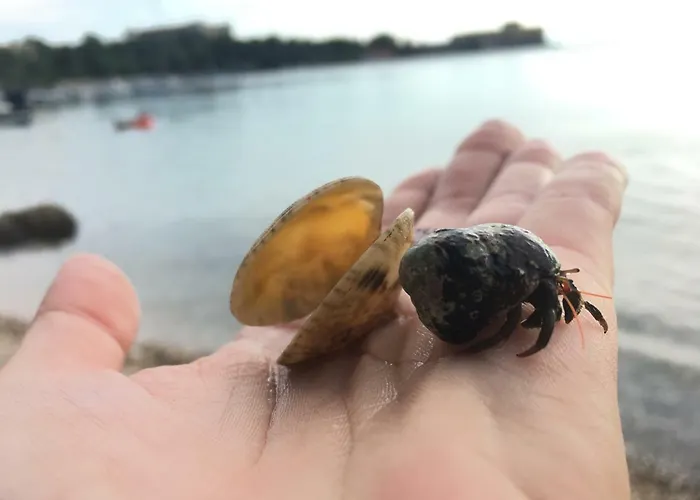 Seamans شقة كلارجيفيكا